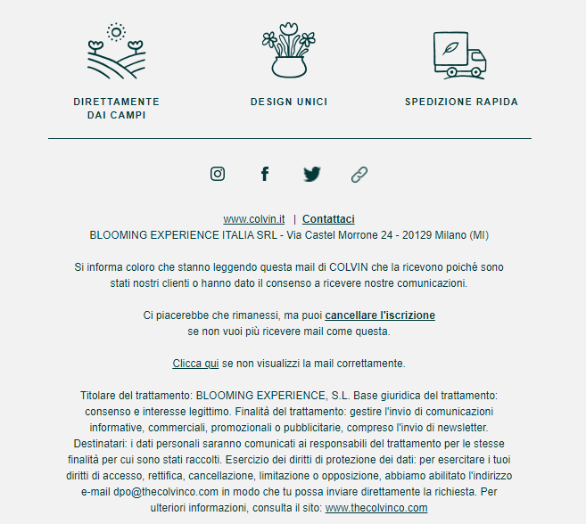 footer_newsletter_colvin