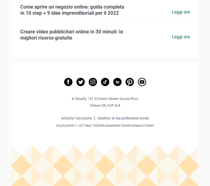 footer_newsletter_shopify