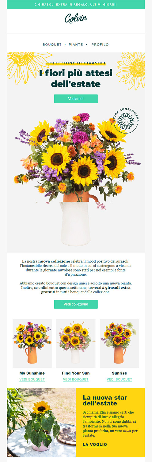 invio_newsletter_colvin