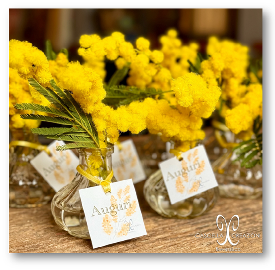 marketing_festa_della_donna_esempio_post_fioreria