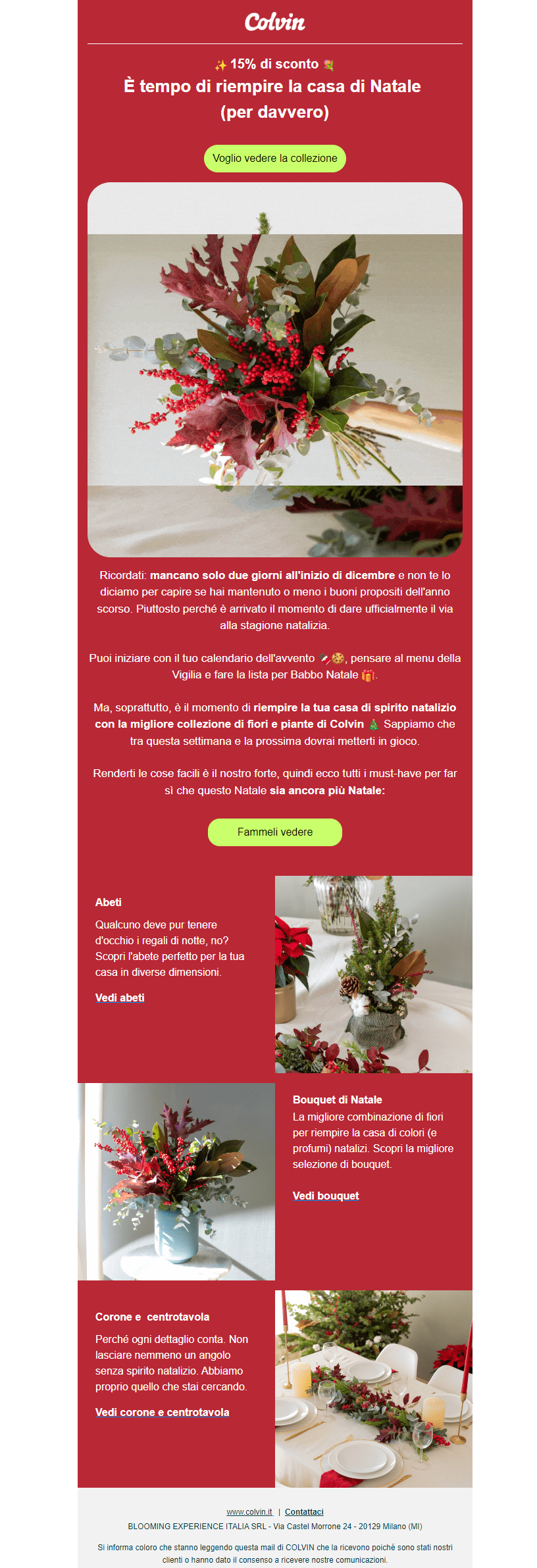 newsletter_natale_esempio_colvin