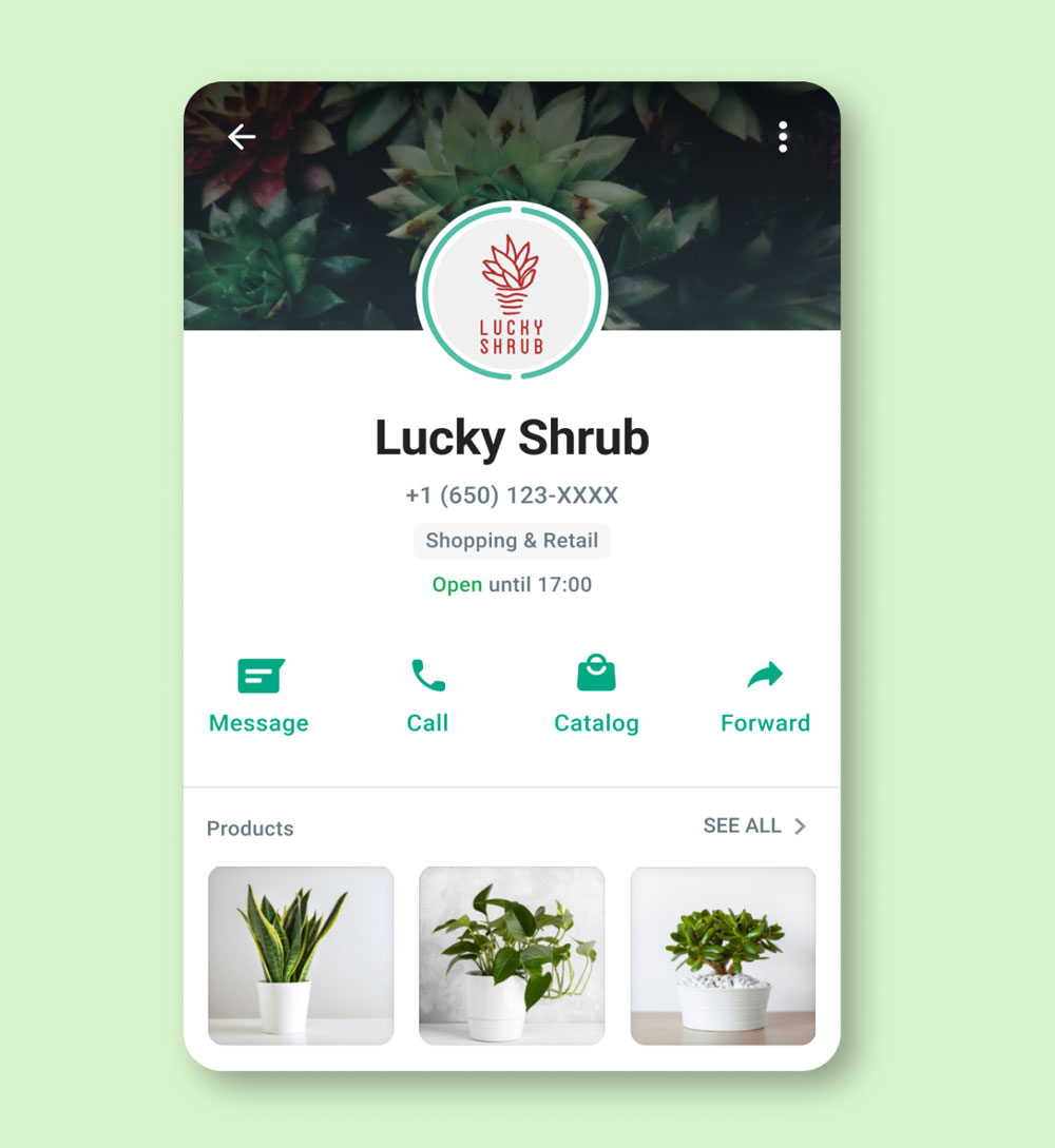 esempio_immagine_profilo_whatsapp_business